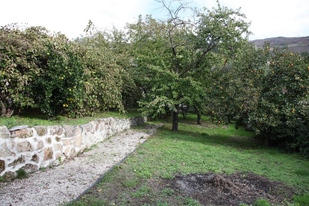 فندق Casa Cardoso São Martinho de Mouros المظهر الخارجي الصورة